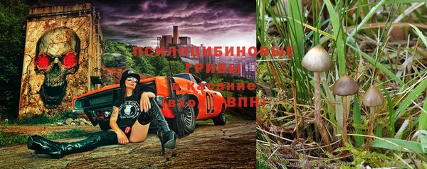 гашишное масло Баксан